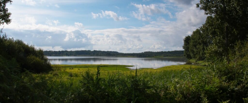 Reserve Naturelle Marais Orx